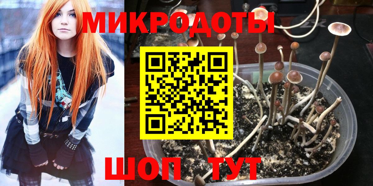 Псилоцибиновые грибы Magic Shrooms  Вход с VPN  Вольск 