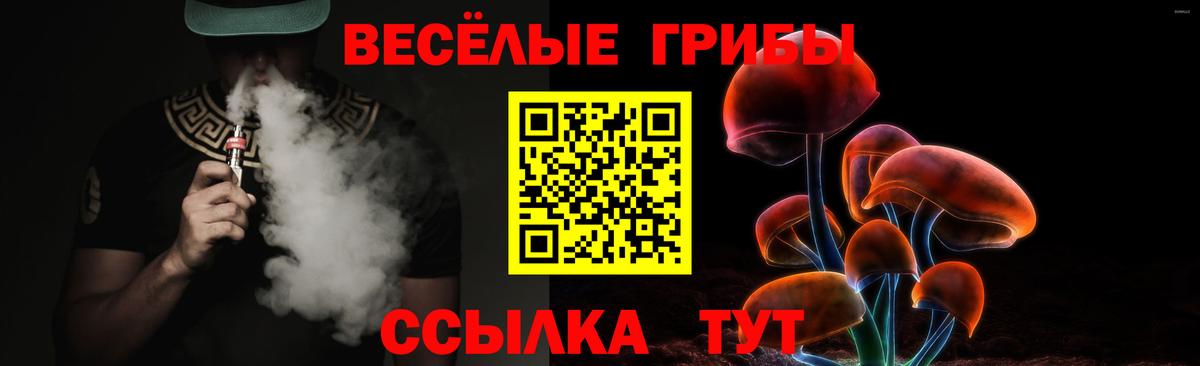 Псилоцибиновые грибы Psilocybe Вольск